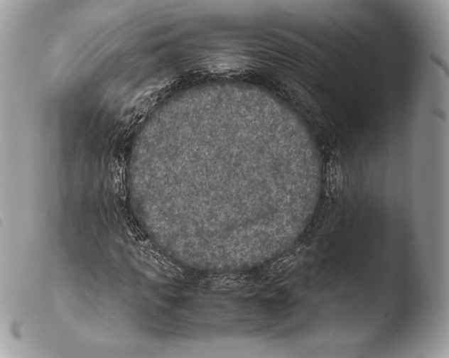 X0000103960917200810171858