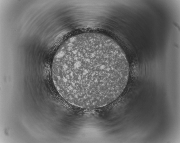 X0000103960918200810171858