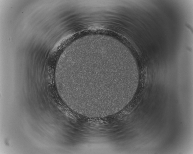 X0000103960919200810171858