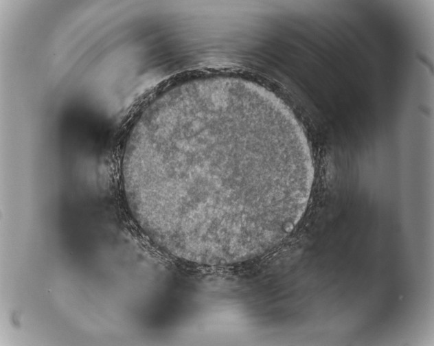 X0000103960920200810171858