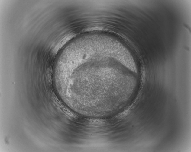 X0000103960921200810171858