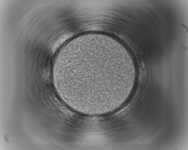 X0000103960922200810171858