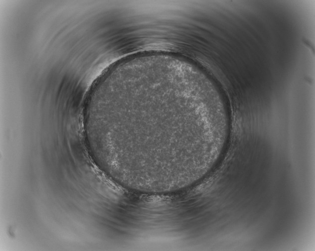 X0000103960923200810171858