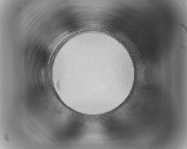 X0000103960924200810171858