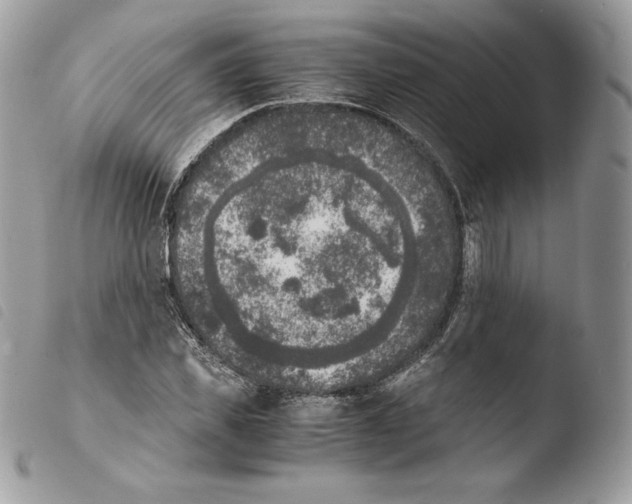 X0000103960925200810171858