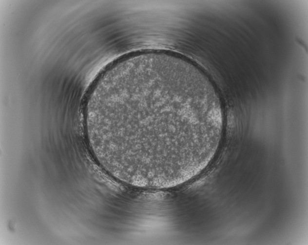 X0000103960926200810171858