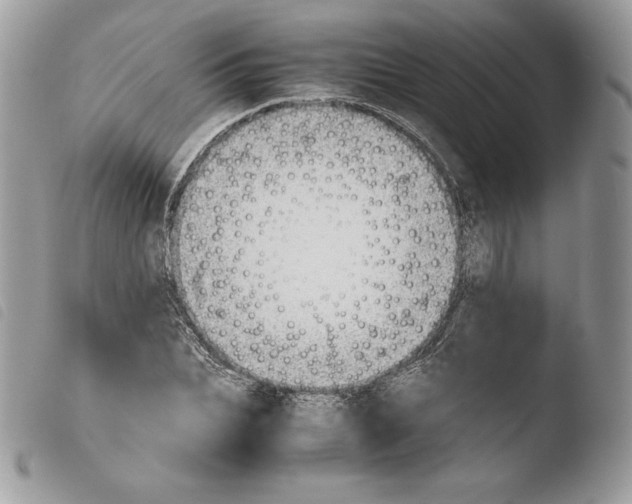 X0000103960927200810171858