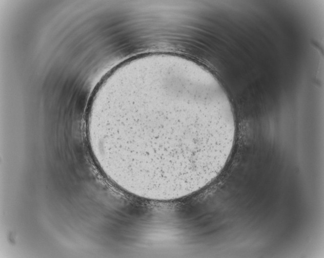 X0000103960928200810171858