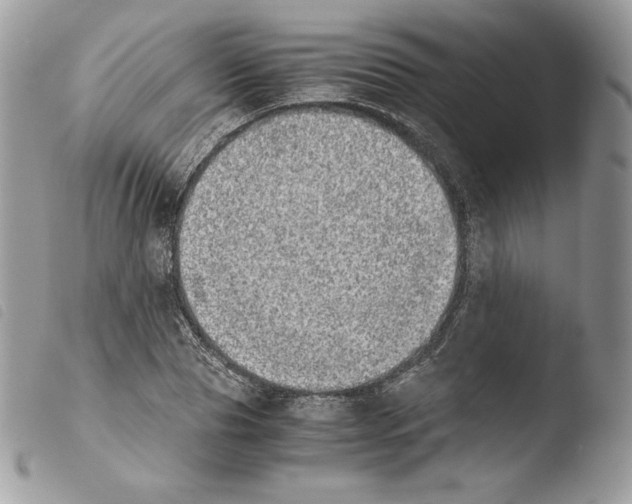 X0000103960929200810171859