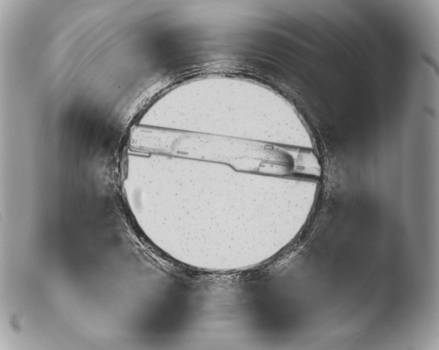 X0000103960930200810171859