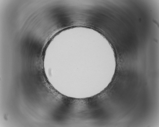 X0000103960931200810171859