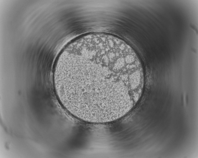 X0000103960932200810171859