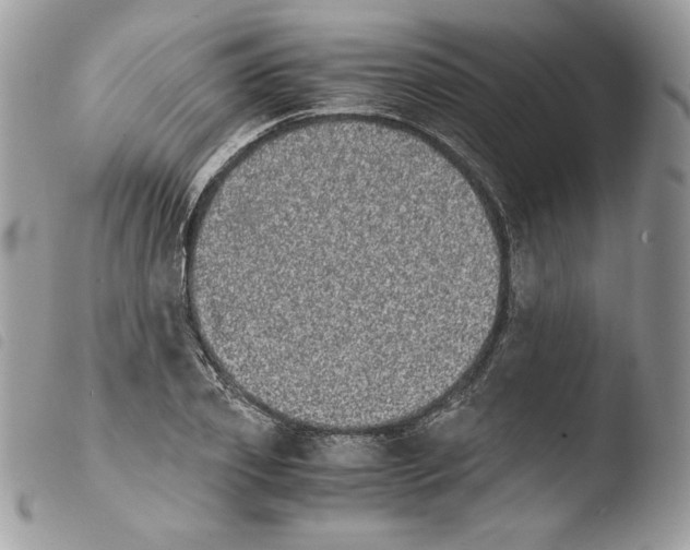 X0000103960933200810171859