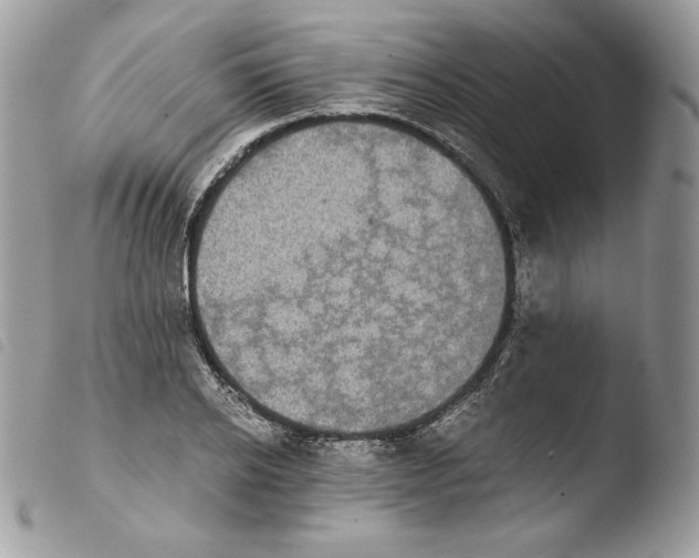 X0000103960934200810171859