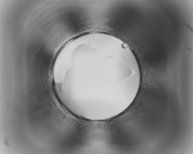 X0000103960936200810171859