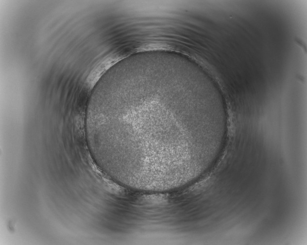 X0000103960937200810171859