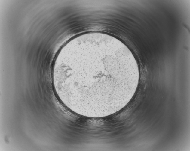 X0000103960939200810171859