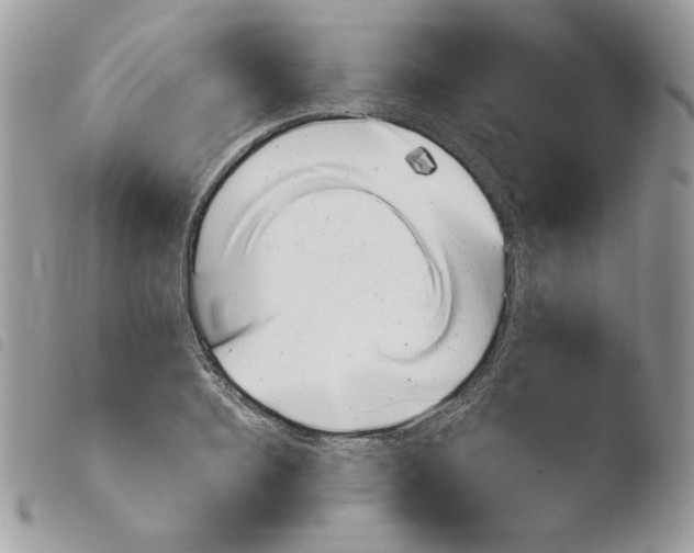 X0000103960940200810171859