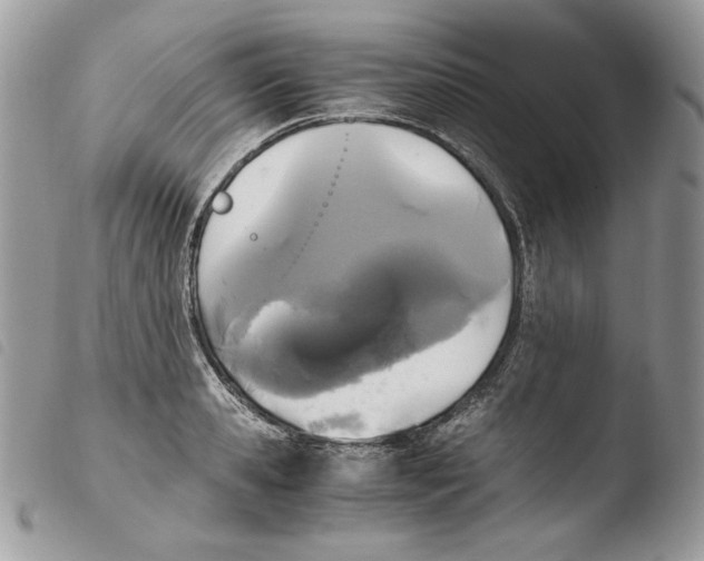 X0000103960941200810171859