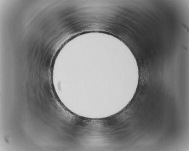 X0000103960942200810171859