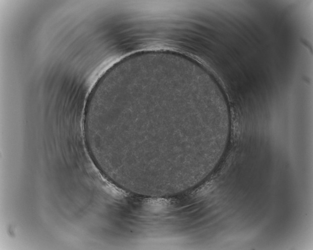 X0000103960943200810171859