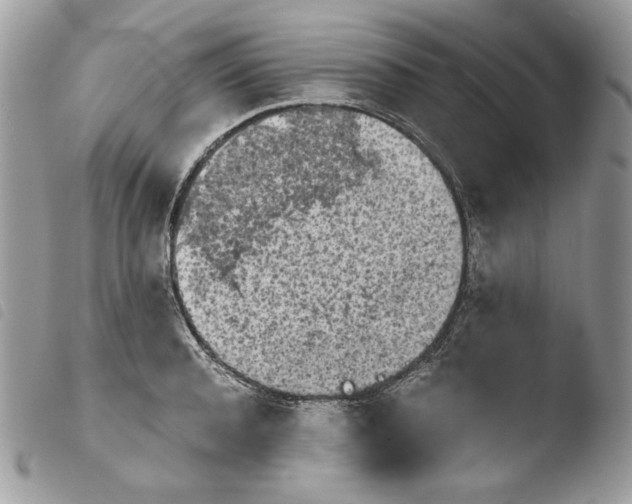 X0000103960944200810171859