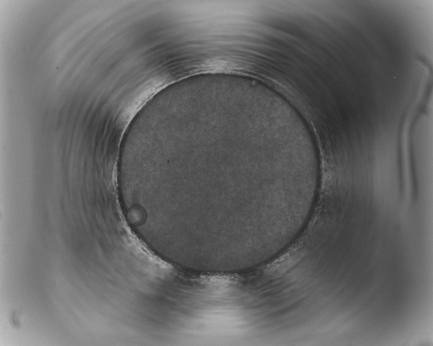 X0000103960946200810171859