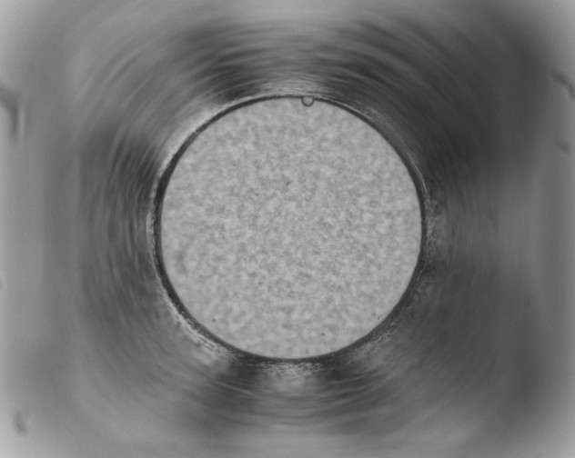 X0000103960947200810171859