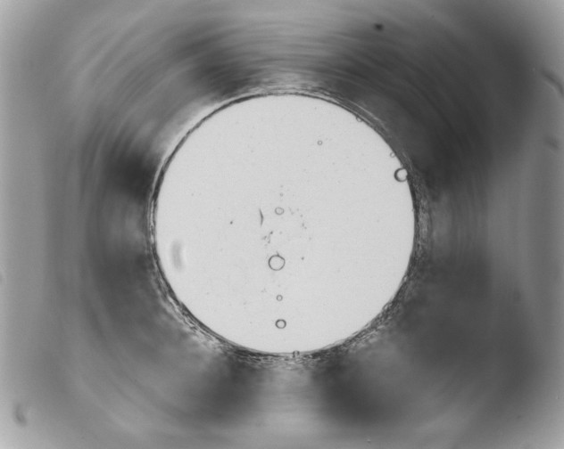 X0000103960948200810171859