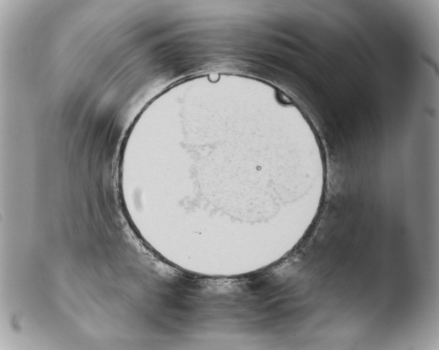 X0000103960949200810171859