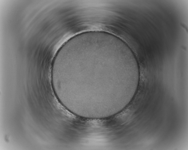 X0000103960950200810171859