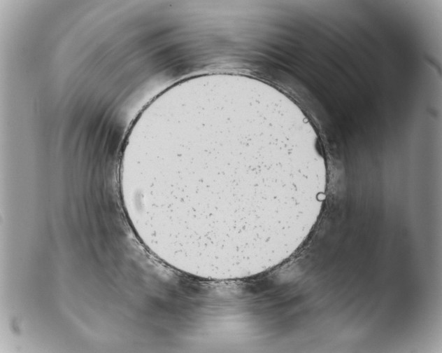 X0000103960952200810171859