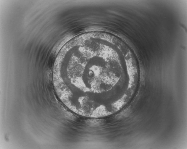 X0000103960953200810171859