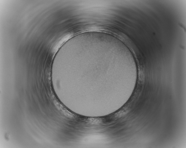 X0000103960954200810171859