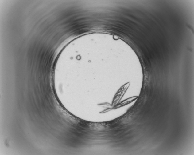 X0000103960955200810171859