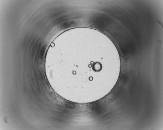 X0000103960956200810171859