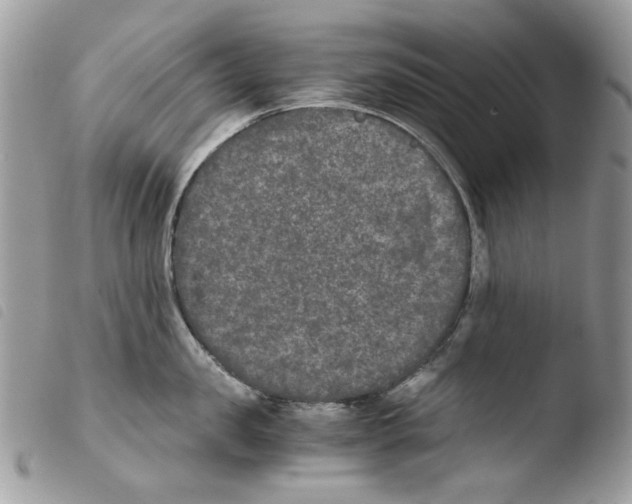 X0000103960957200810171859