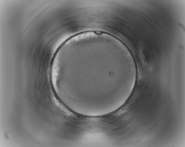 X0000103960958200810171859