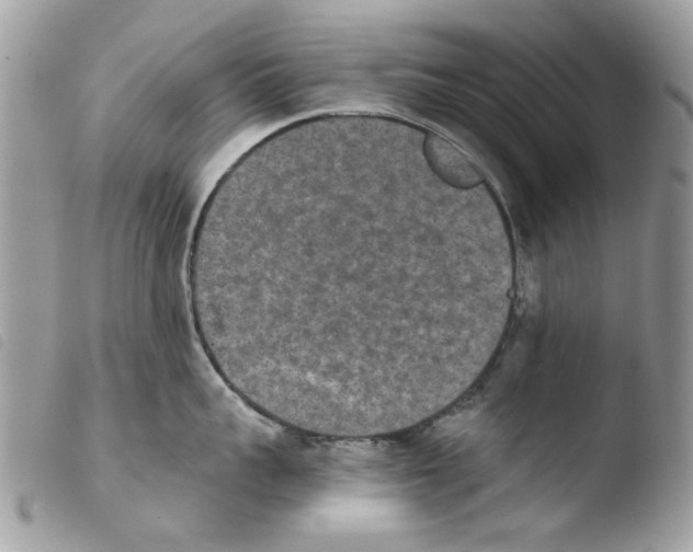 X0000103960959200810171859