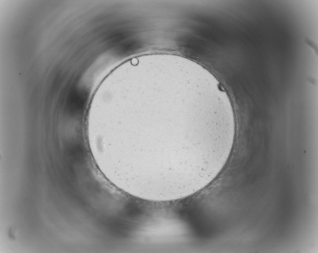 X0000103960960200810171859