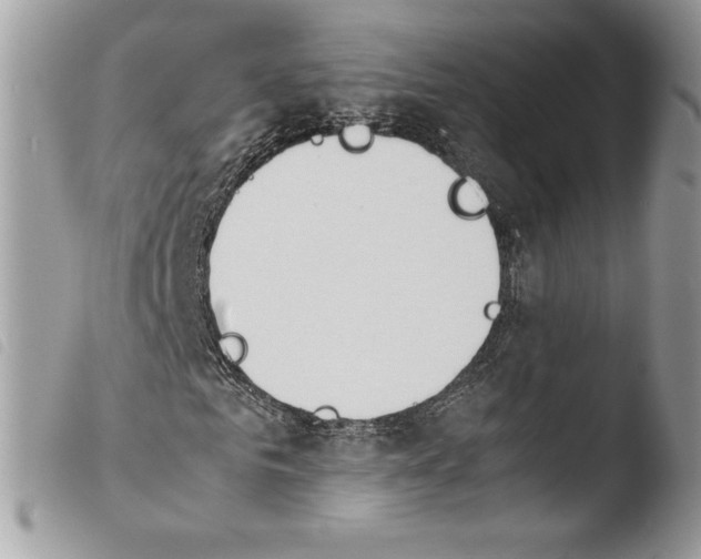 X0000103960961200810171858