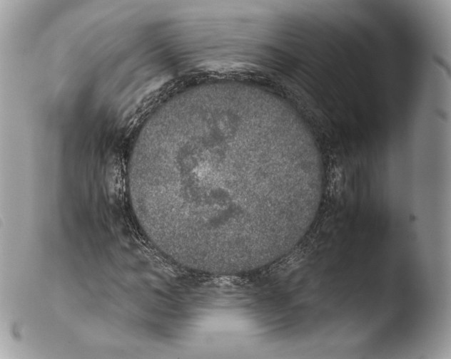 X0000103960966200810171858