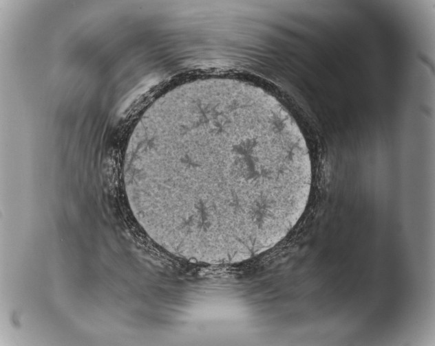 X0000103960967200810171858