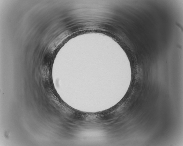 X0000103960969200810171858