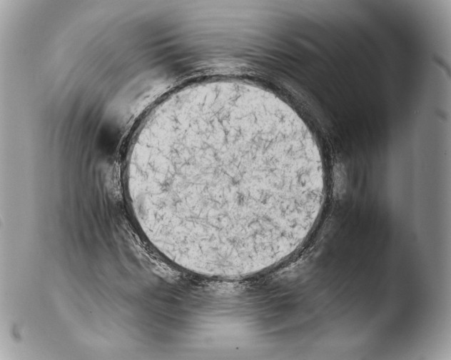 X0000103960970200810171858