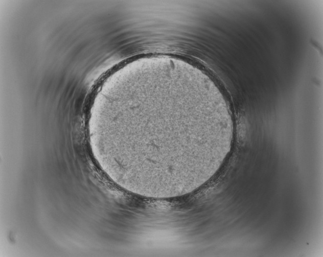 X0000103960971200810171858