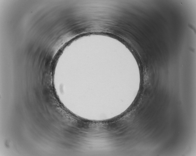 X0000103960973200810171858