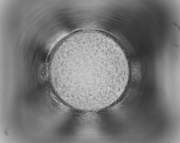 X0000103960974200810171858