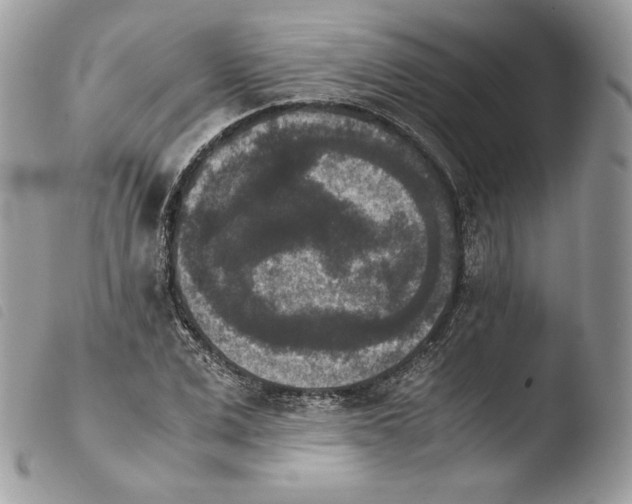 X0000103960975200810171858