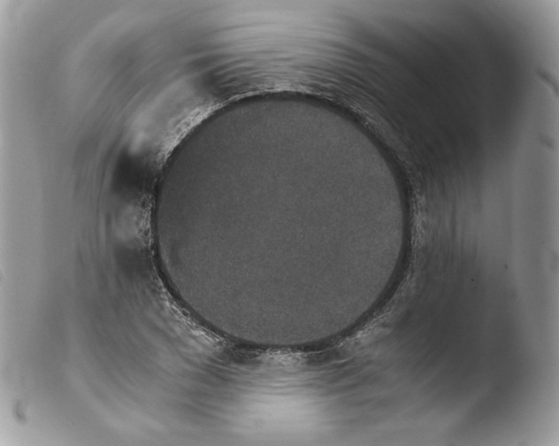 X0000103960977200810171858